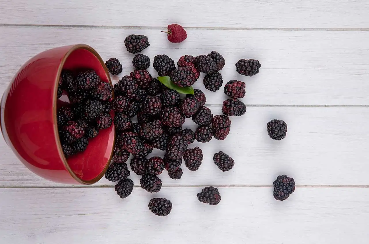 Boost Immunity Naturally Top Superfruits