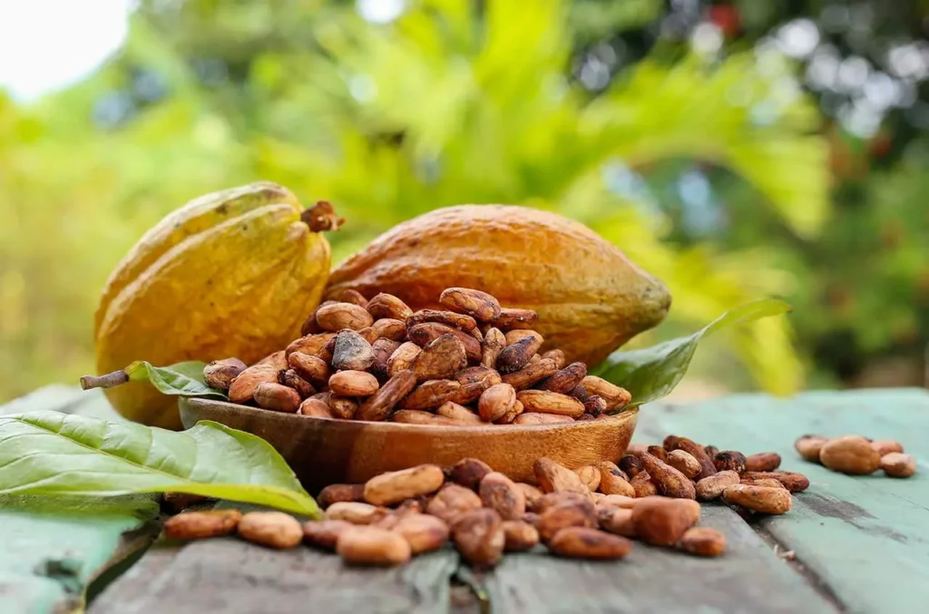 beneficios del cacao