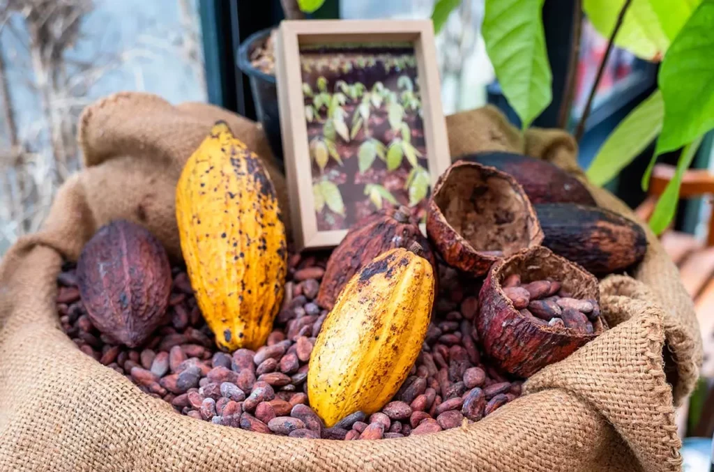 productos mexicanos en USA