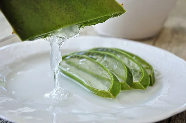 usos del aloe vera